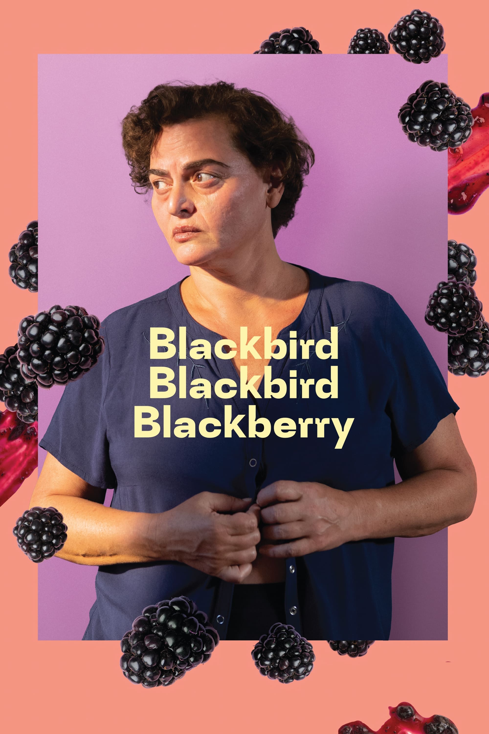Blackbird Blackbird Blackberry - Bild 1 von 11