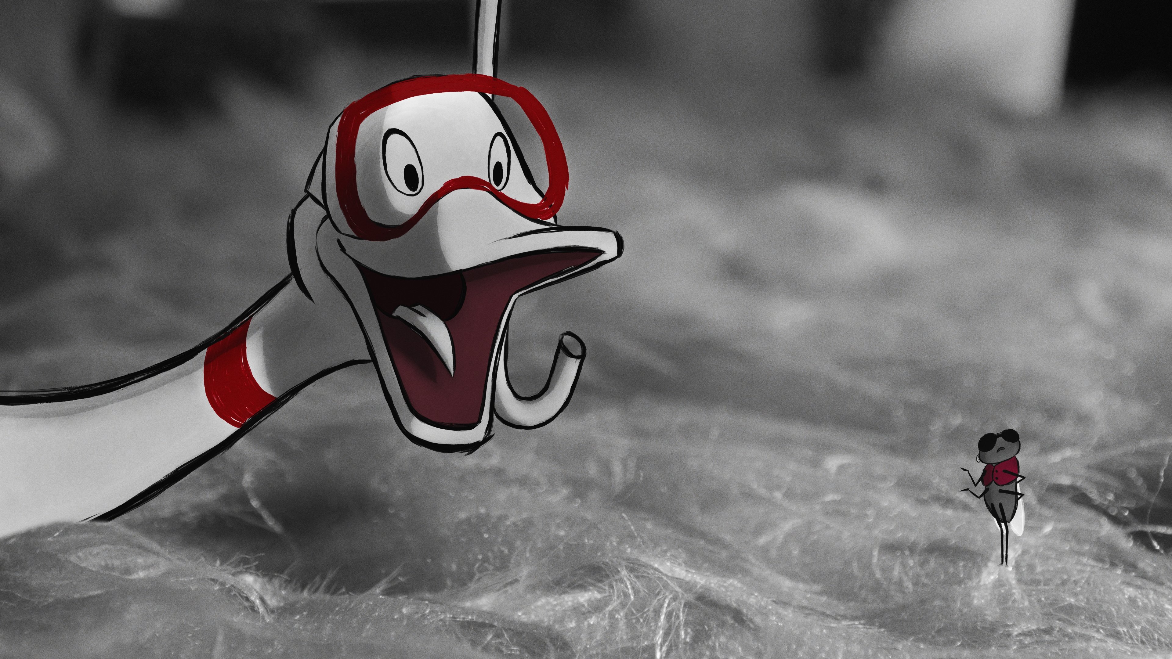 Thumbnail 11 von 11