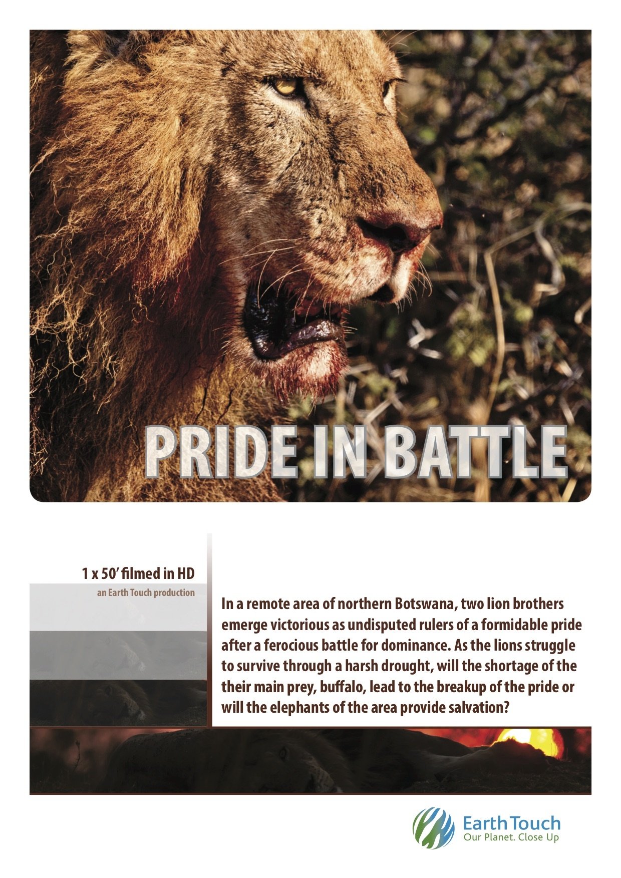 Pride in Battle - Bild 1 von 4