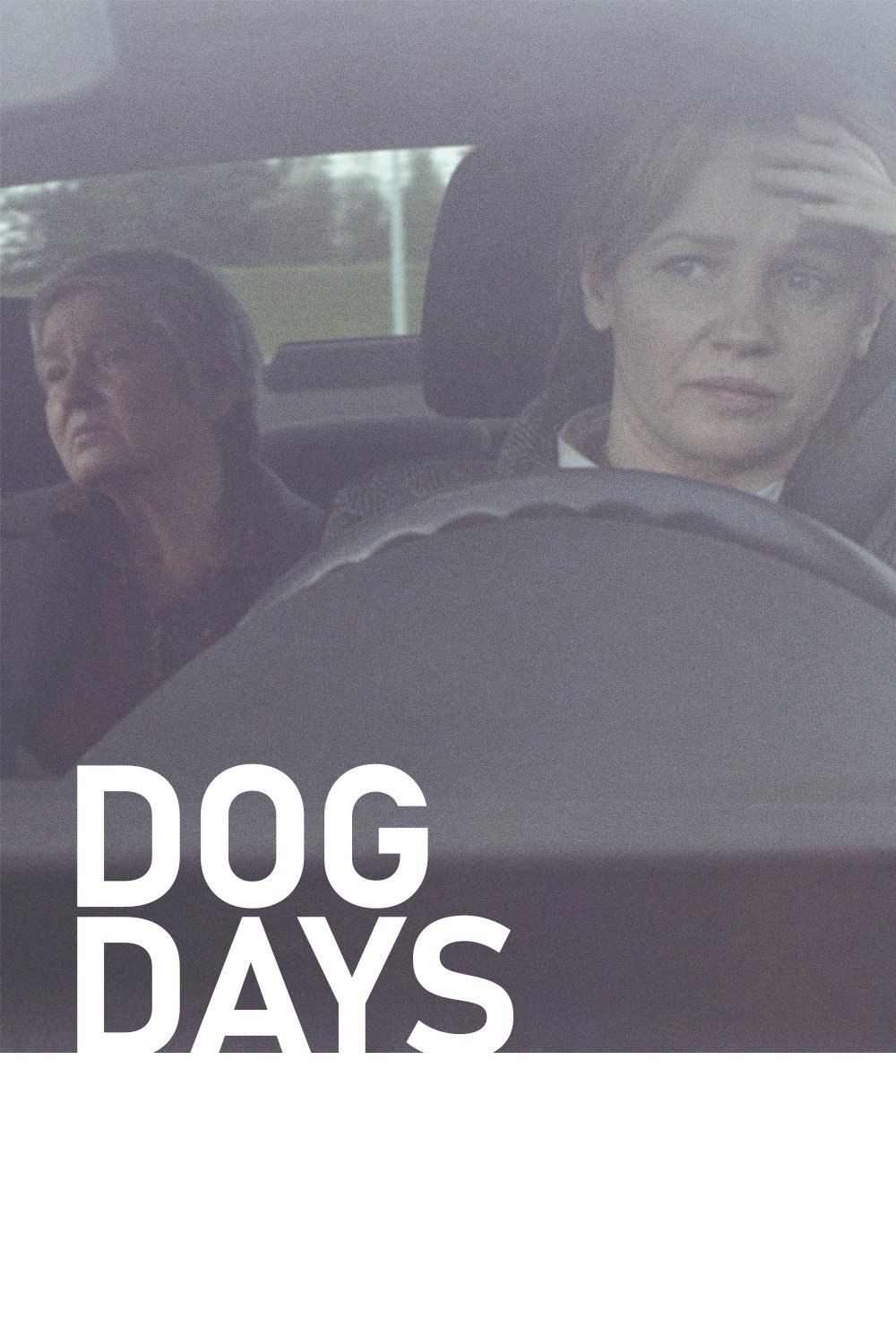 Dog Days - Bild 1 von 2
