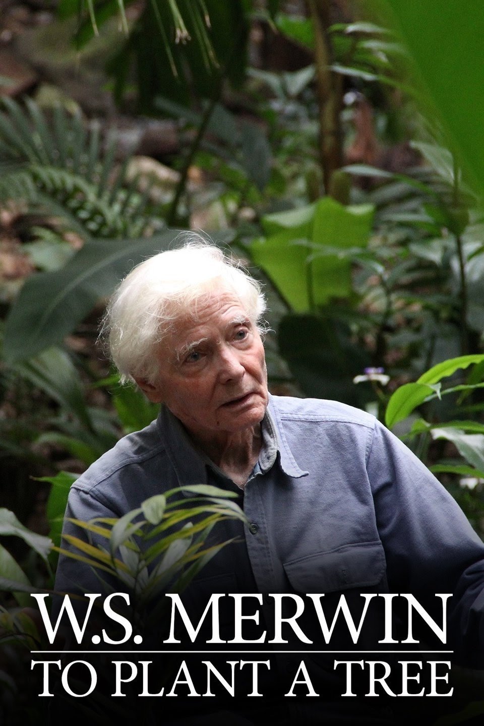 W.S. Merwin: To Plant a Tree - Bild 1 von 2