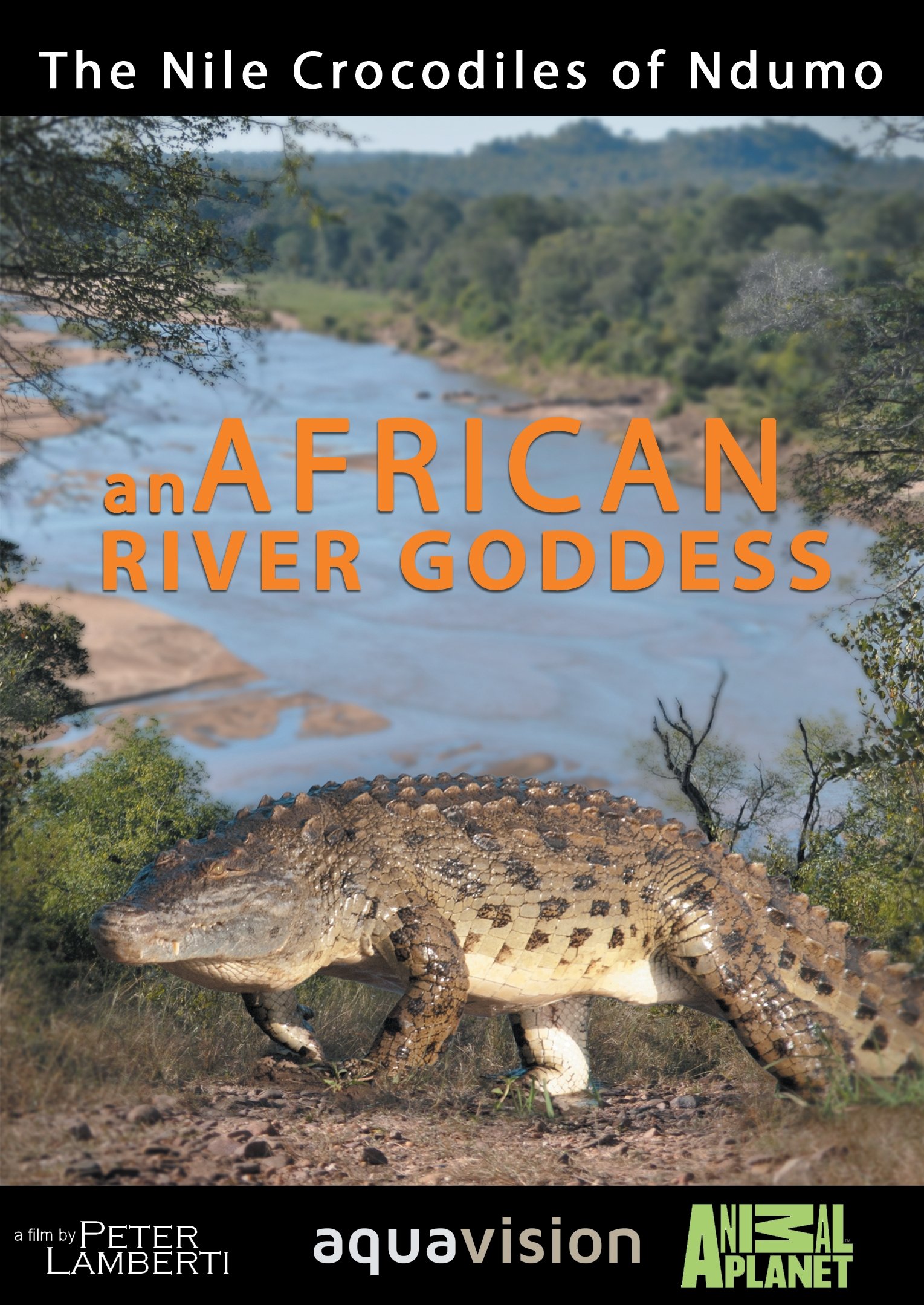 River Dragons of Ndumo - Bild 1 von 2