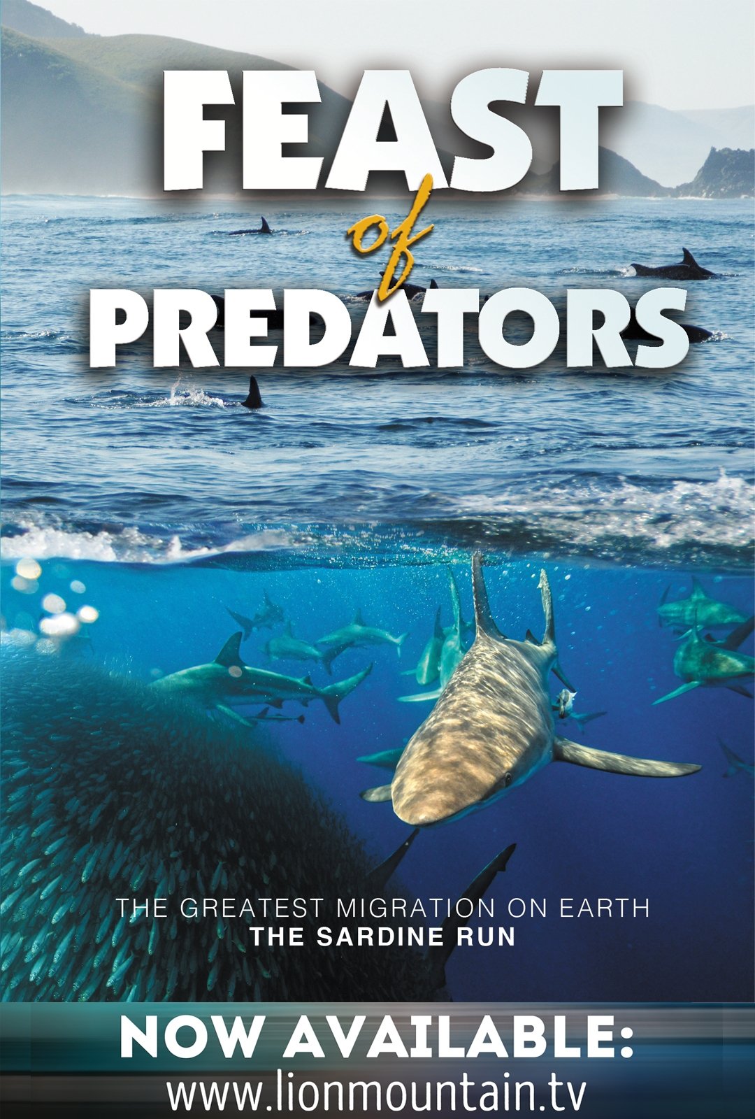 Feast of Predators - Bild 1 von 3