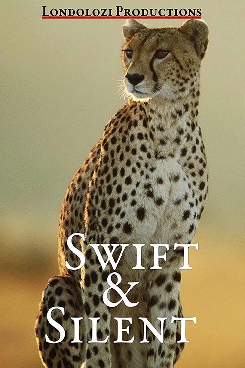 Swift and Silent - Bild 1 von 2