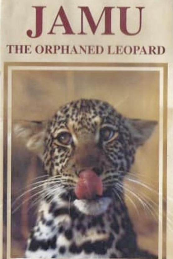 Jamu the Orphaned Leopard - Bild 1 von 2