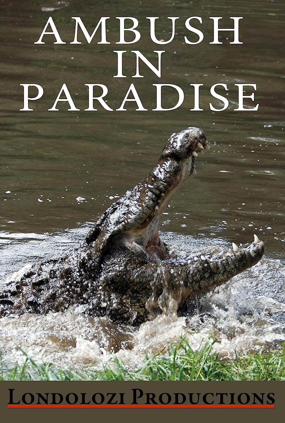 Ambush in Paradise - Bild 1 von 2