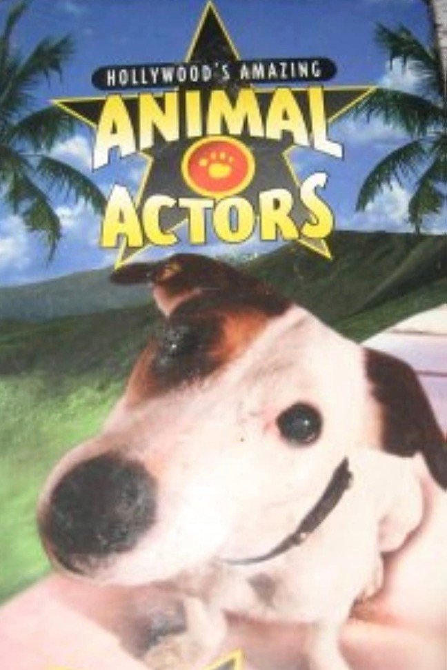 Hollywood's Amazing Animal Actors - Bild 1 von 2