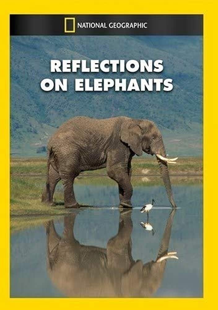 Reflections on Elephants - Bild 1 von 2
