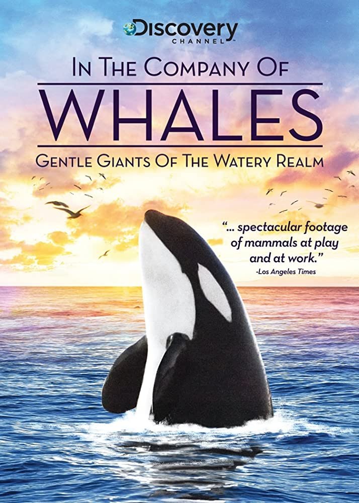 In the Company of Whales - Bild 1 von 2