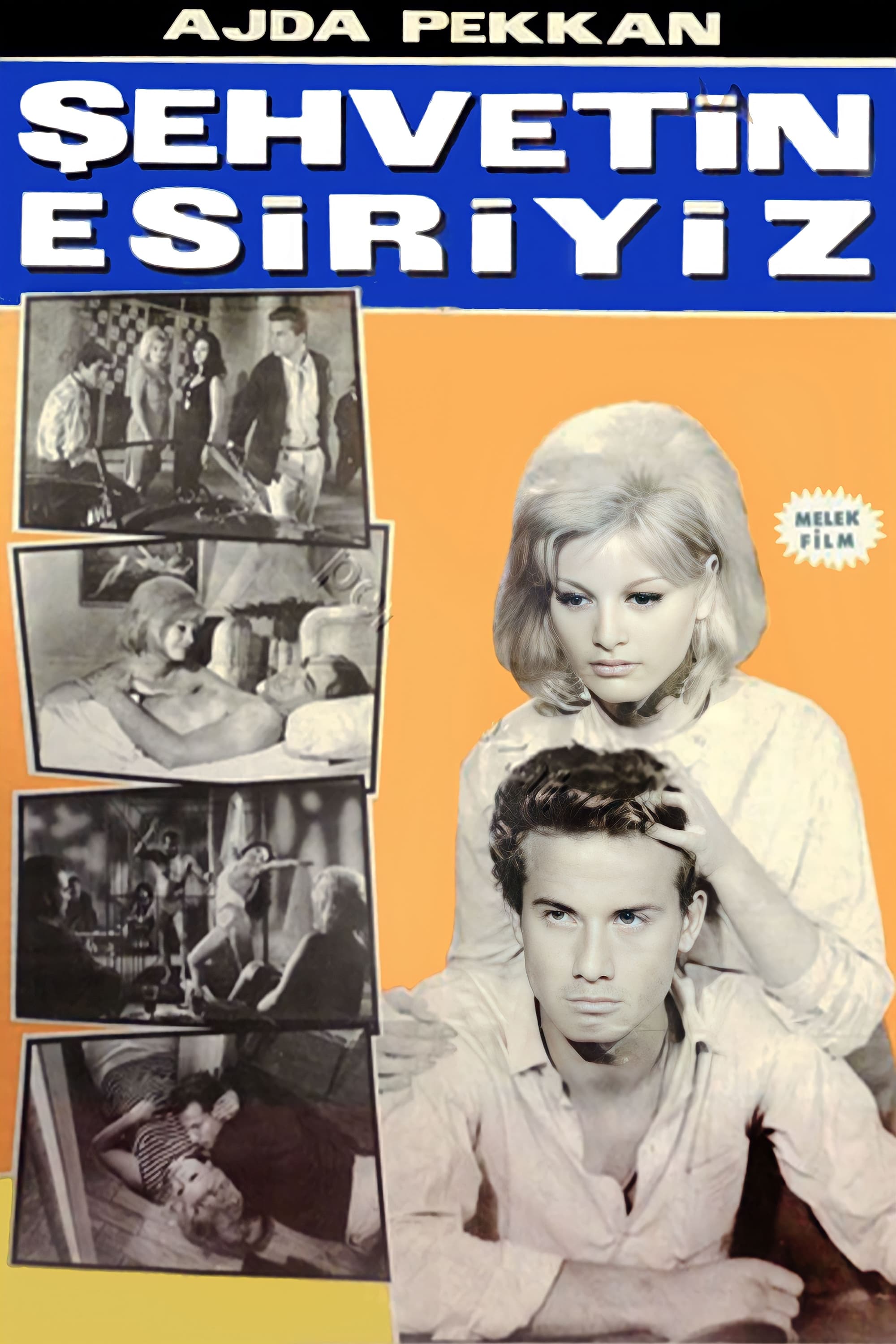 Åžehvetin Esiriyiz - Bild 1 von 3