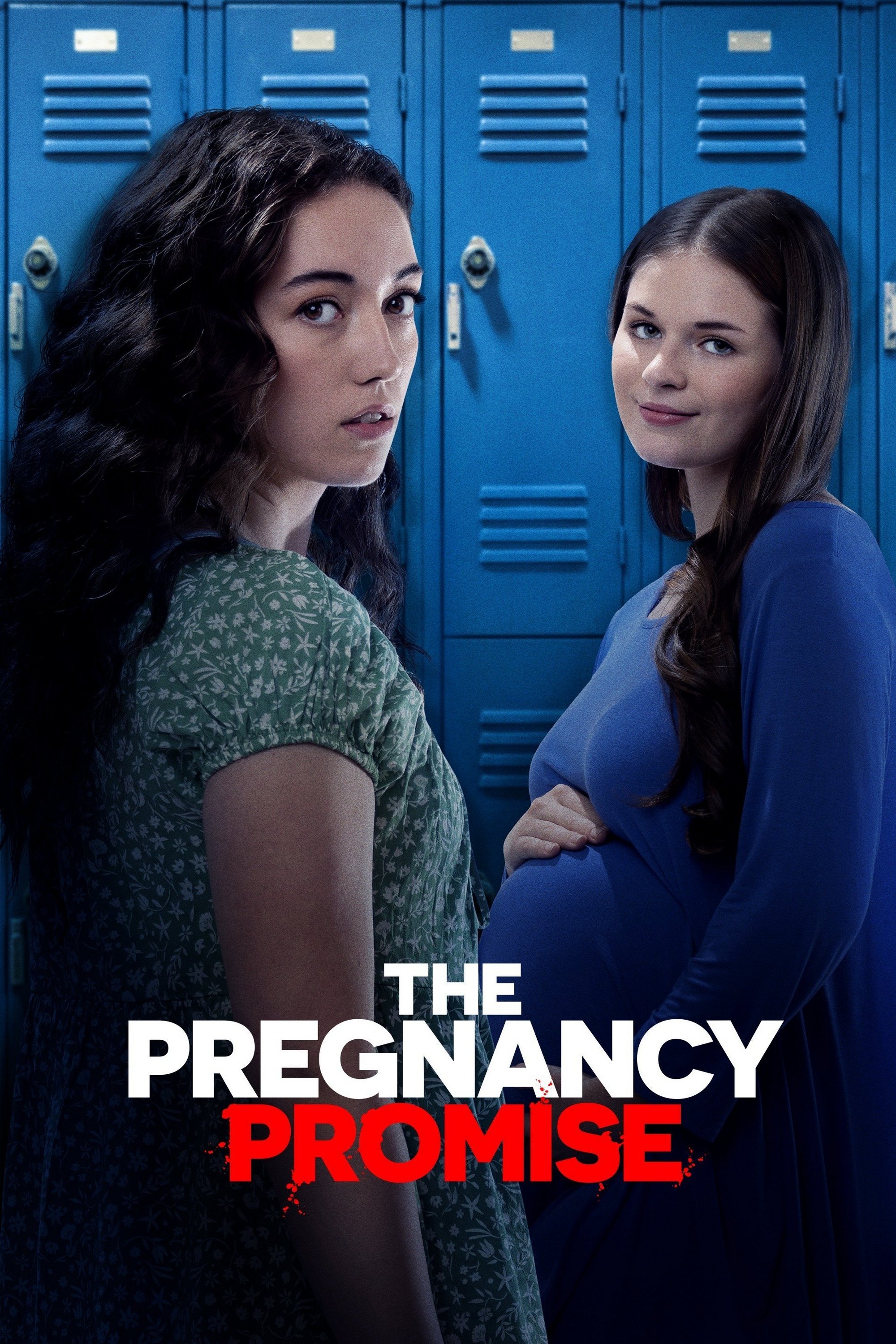 The Pregnancy Promise - Bild 1 von 6