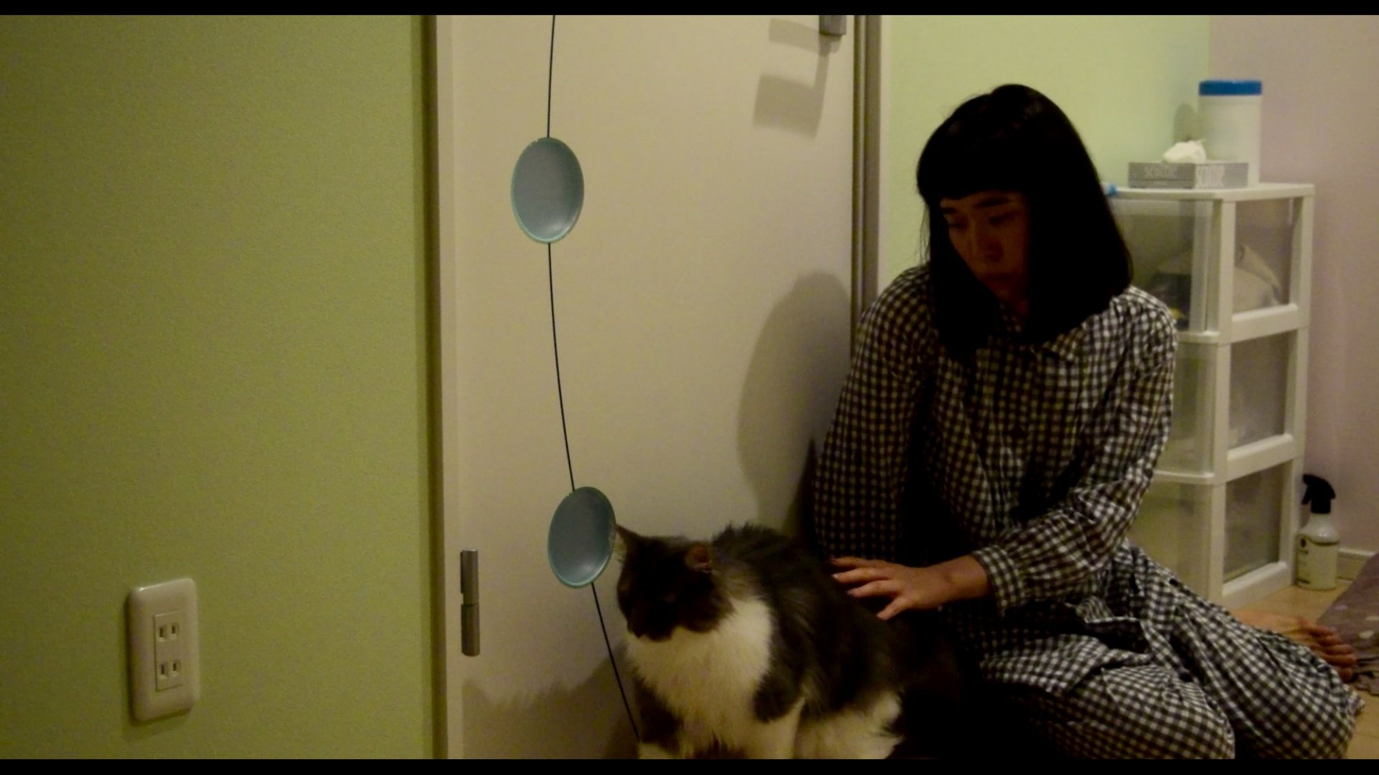 Thumbnail 8 von 8