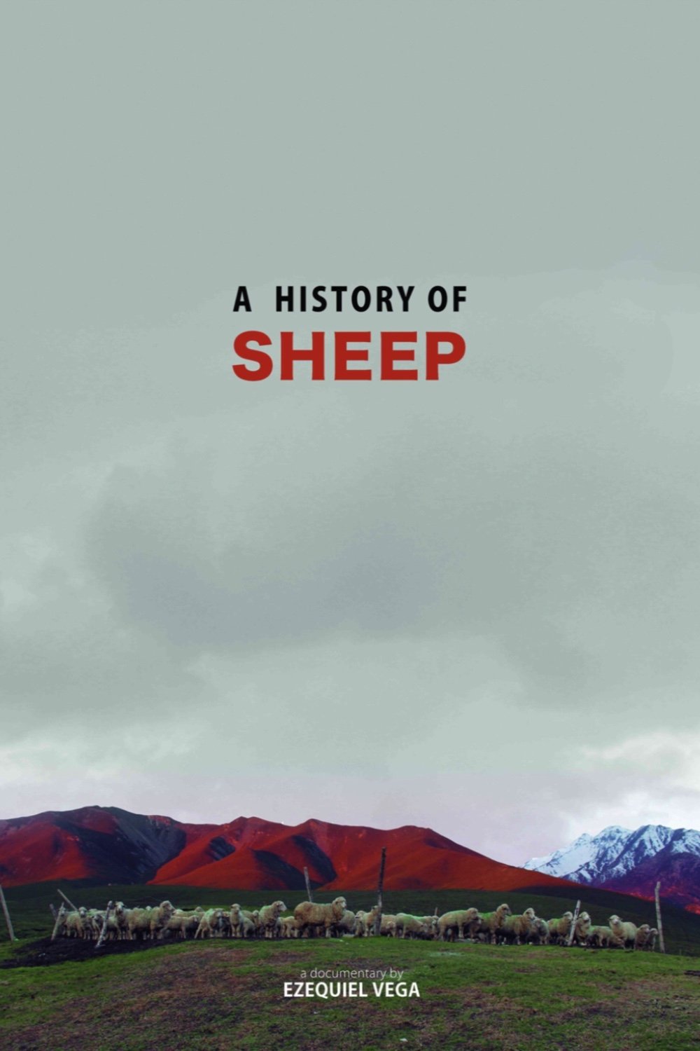 A History Of Sheep - Bild 1 von 2