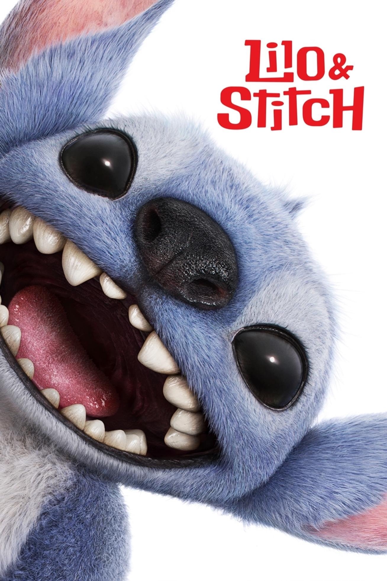 Thumbnail 6 von 11
