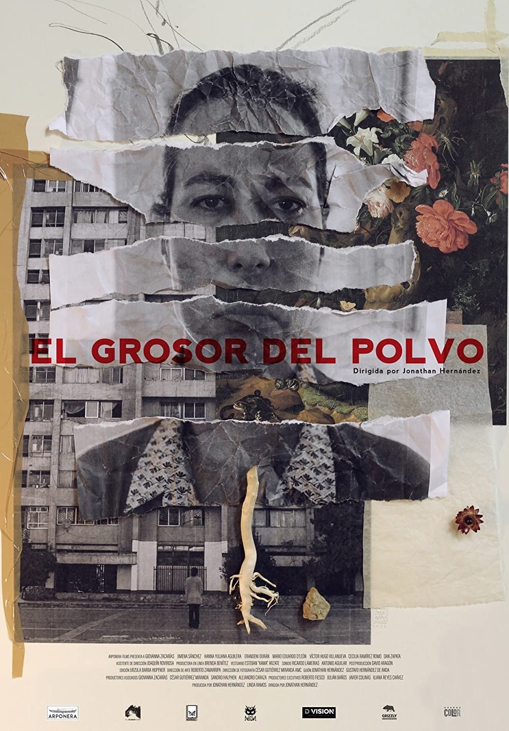El Grosor del Polvo - Bild 1 von 3