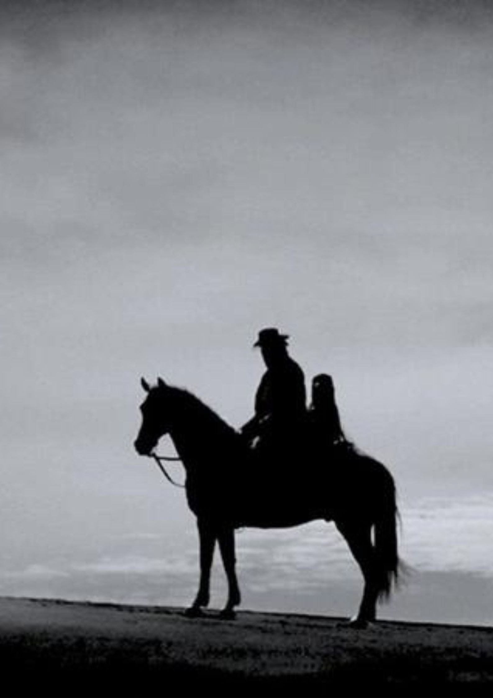 First Horse - Bild 1 von 5