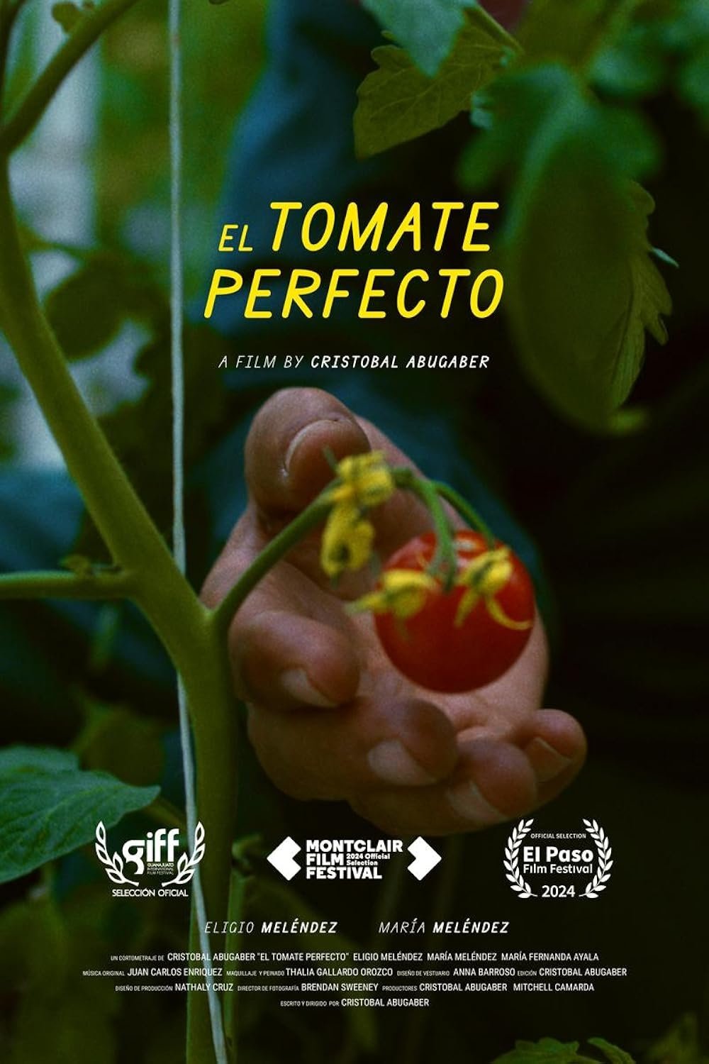 The Perfect Tomato - Bild 1 von 3