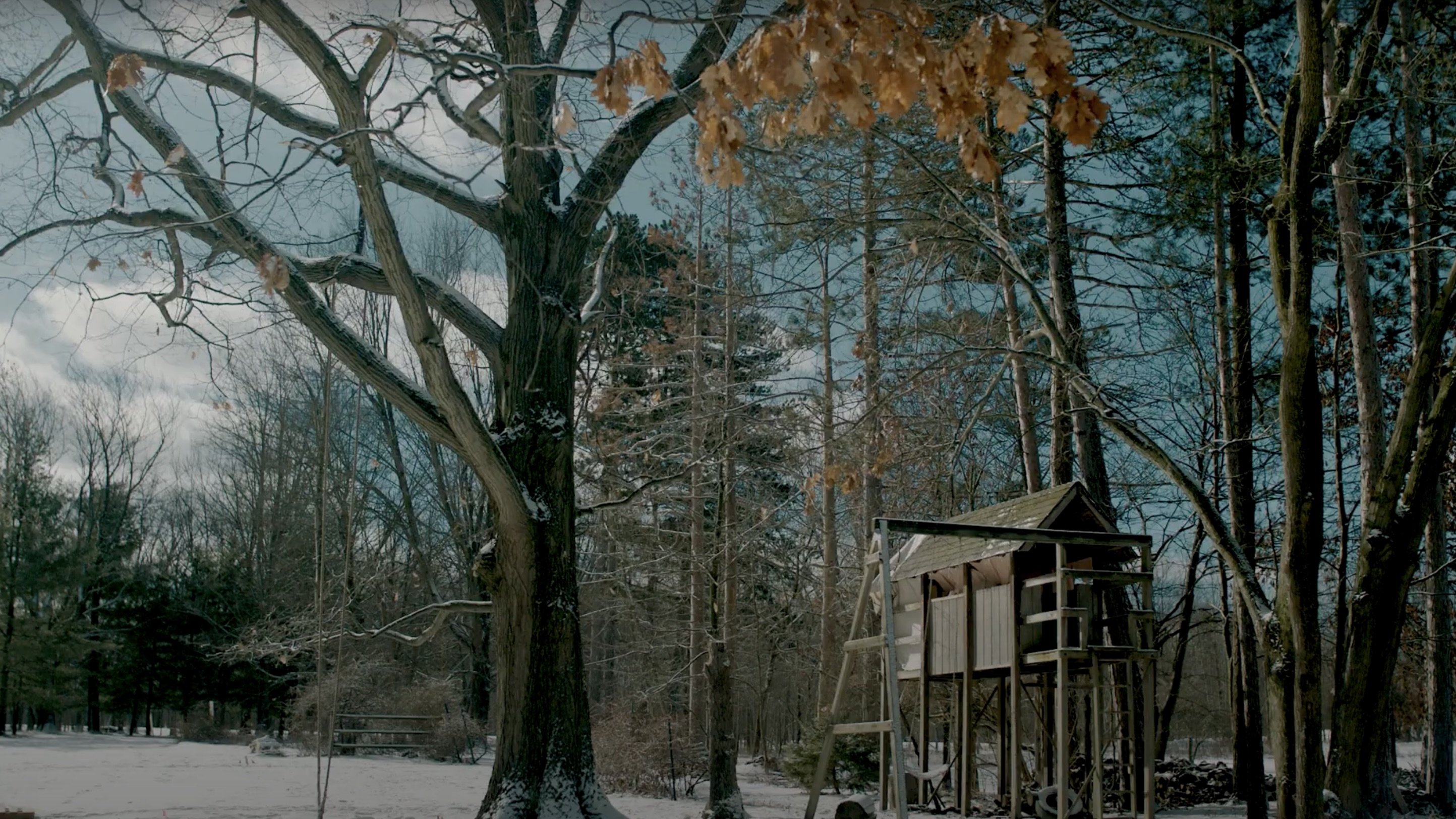 Treehouse - Bild 1 von 3