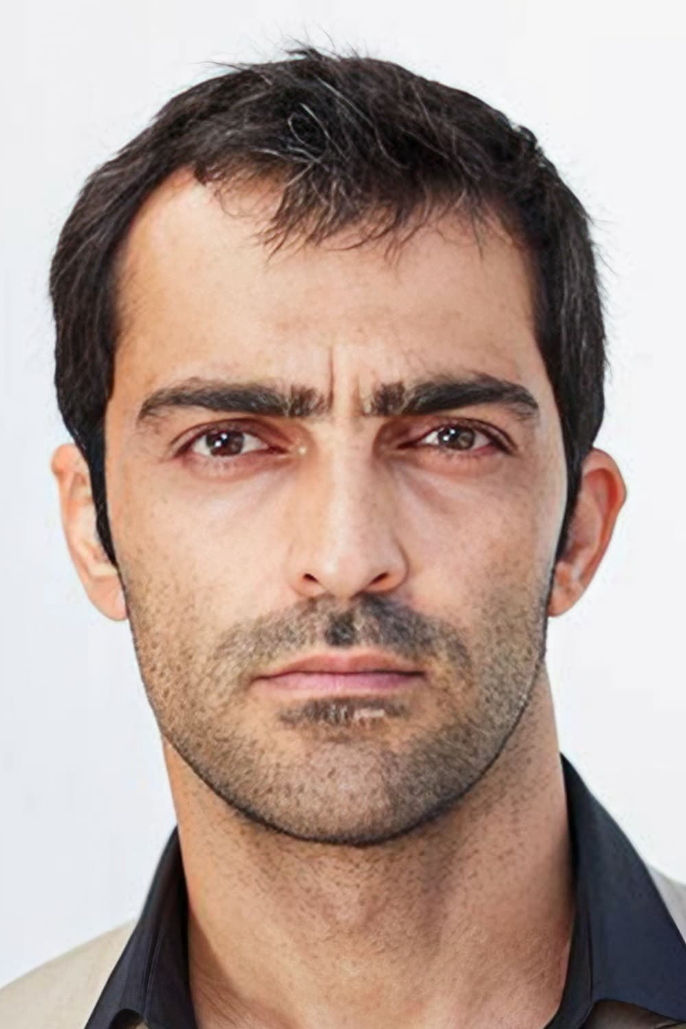 Bild von Reza Akhlaghirad