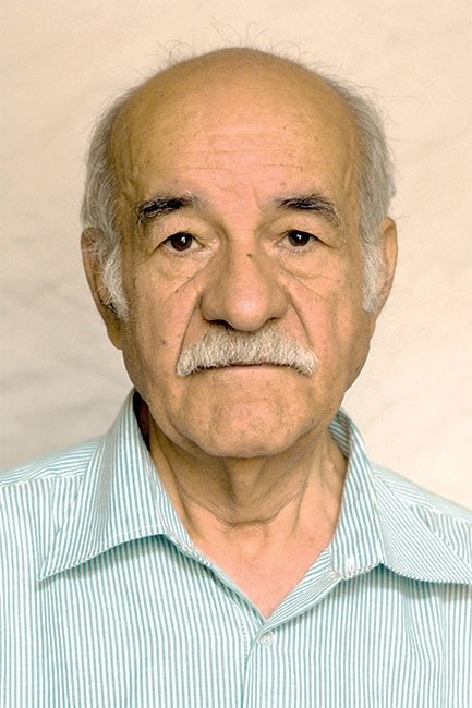 Bild von Saeed Poursamimi