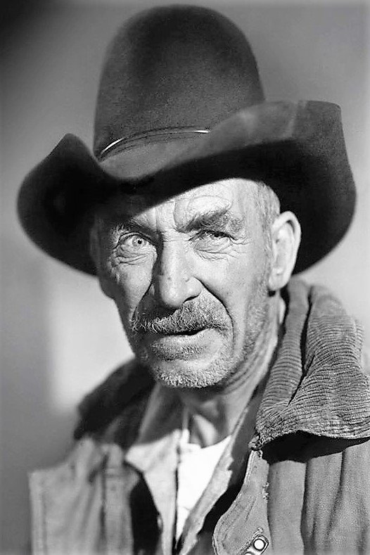Bild von Andy Clyde
