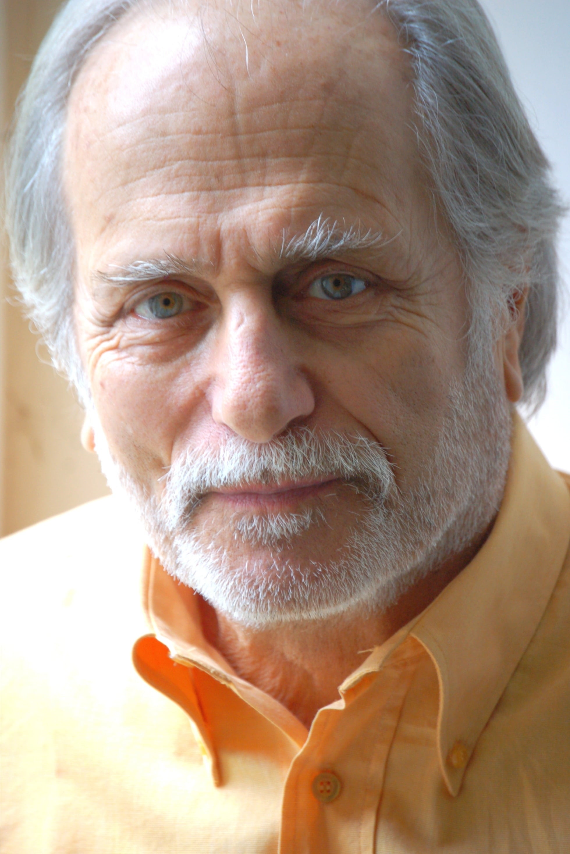 Bild von Luigi Diberti