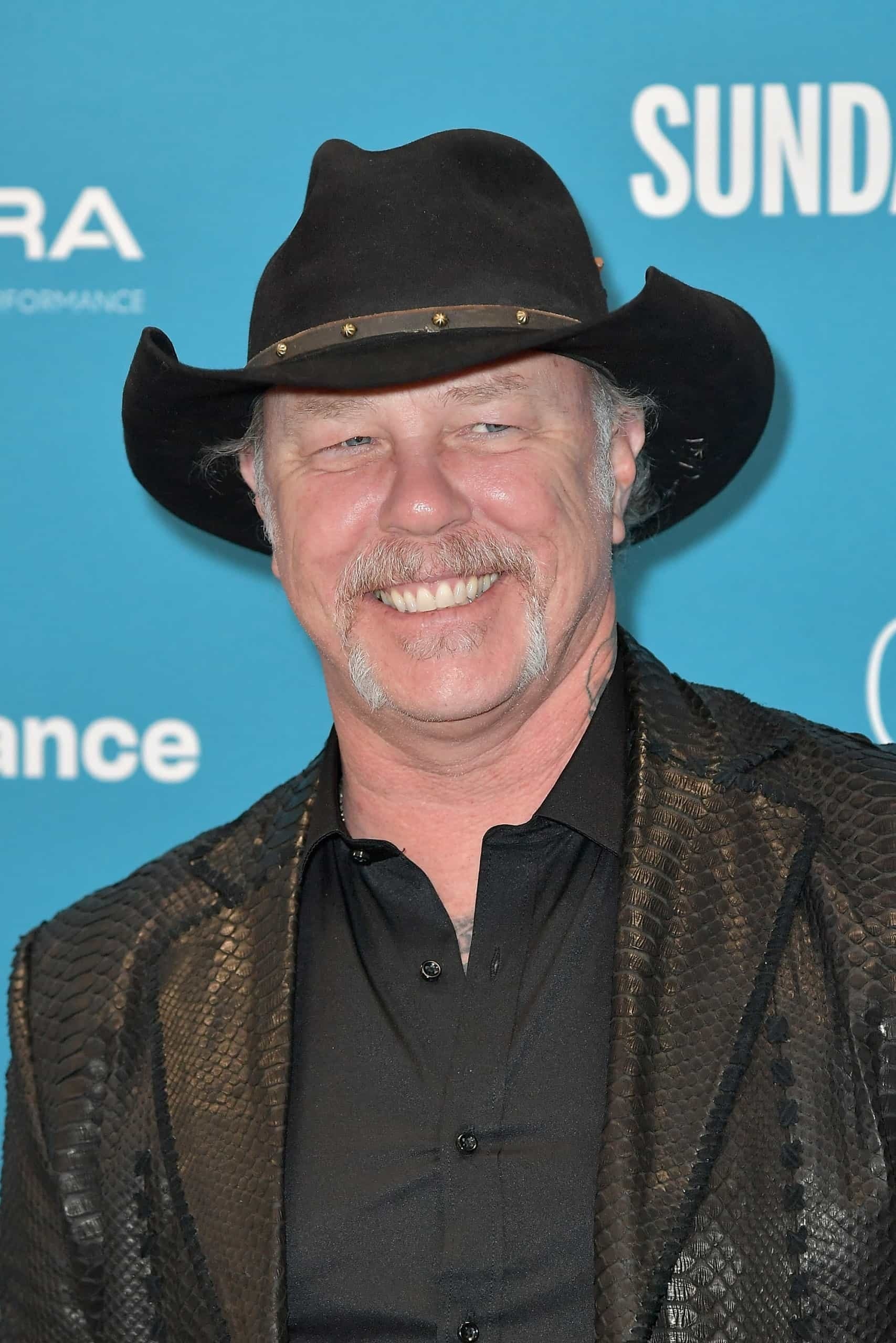 Bild von James Hetfield