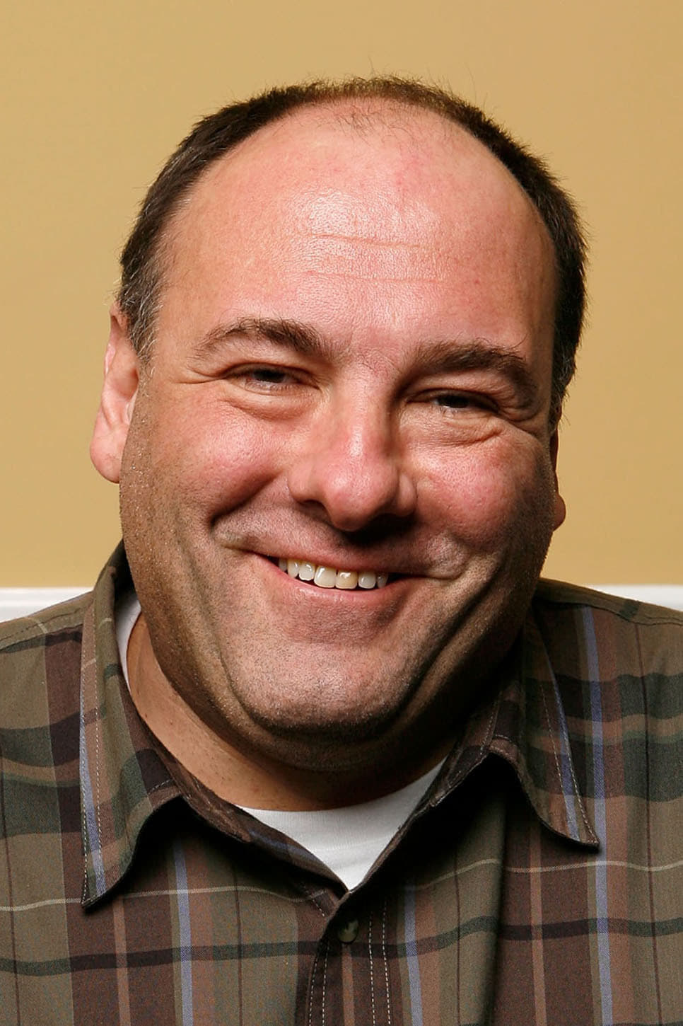 Bild von James Gandolfini